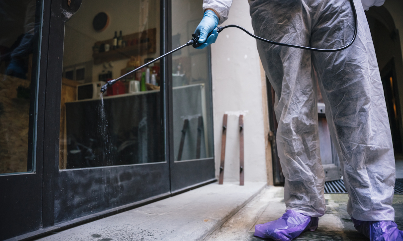 απεντομωση2