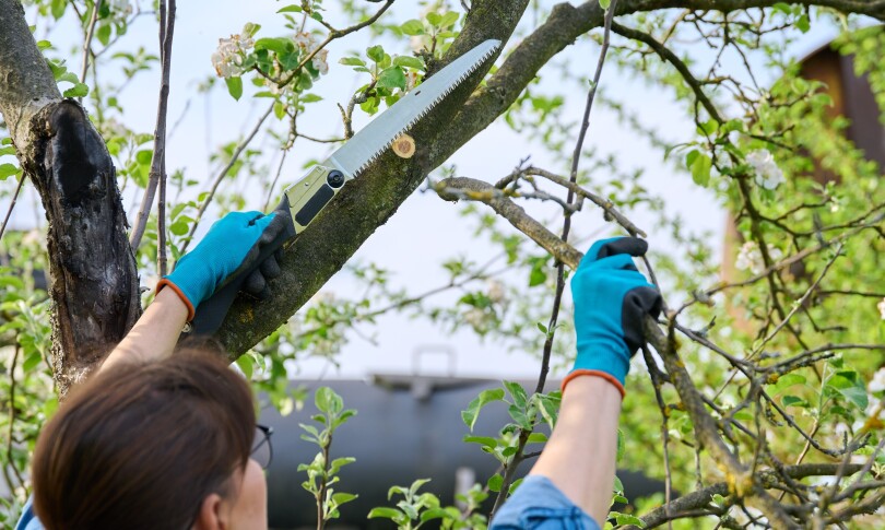 polikatikia_kai_kipouriki