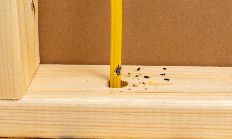 απολυμανση3