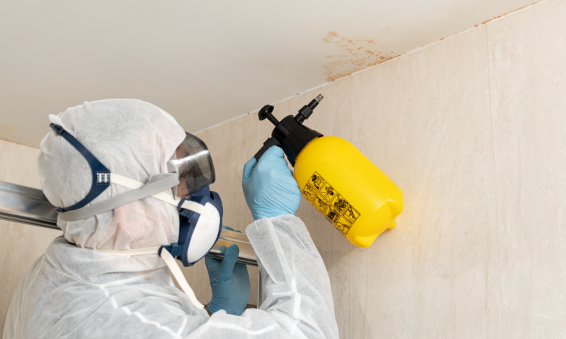 υγρασια_και_μουχλα_2